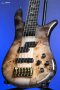 Spector Euro 5 CST - Natural Black Burst Gloss
