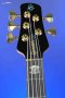 Spector Euro 5 CST - Natural Gloss
