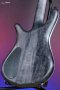 Spector USA NS-5 - Black and White Custom