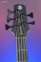 Spector USA NS-5 - Black and White Custom