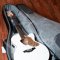MONO M80 Classic Jumbo Acoustic Guitar Case, Black