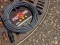 Pig Hog Hex Series Mic Cable 20ft. Grey