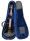 Reunion Blues RB Expedition LP Style Guitar Case