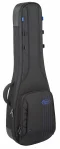 Reunion Blues RB Expedition LP Style Guitar Case