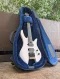 Reunion Blues RB Expedition Headless Guitar Case