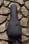 Reunion Blues RB Expedition Headless Guitar Case