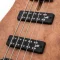 Aguilar AG 5SD-D2