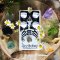 EarthQuaker Devices Levitation V.2