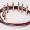 Evidence Audio The Monorail Signal Cable (Burgundy)