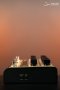 Friedman IR-X Dual Tube Preamp and DI