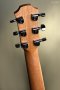 Furch Guitars Pioneer-ER a Engelmann spruce / Indian Rosewood
