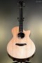 Furch Guitars Green SR - Grand Auditorium (Cutaway) Sitka Spruce/Indian Rosewood