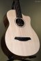 Furch Guitars Pioneer-ER a Engelmann spruce / Indian Rosewood