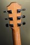 Furch Guitars Green SR - Grand Auditorium (Cutaway) Sitka Spruce/Indian Rosewood