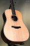 Furch Guitars Dreadnought Sitka Spruce/Indian Rosewood, Green