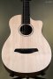 Furch Guitars Pioneer-ER a Engelmann spruce / Indian Rosewood