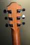Furch Guitars Dreadnought Sitka Spruce/African Mahogany, Violet