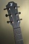 Furch Guitars Pioneer-ER a Engelmann spruce / Indian Rosewood