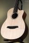 Furch Guitars Pioneer-ER a Engelmann spruce / Indian Rosewood