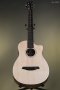 Furch Guitars Pioneer-ER a Engelmann spruce / Indian Rosewood