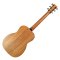 Furch Guitars LJ 10-MM - African Mahogany/Afrigan Mahogany