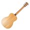 Furch Guitars LJ 10-SM- Sitka Spruce/African Mahogany