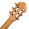 Furch Guitars GNc 2-SW - GNc Sitka Spruce/Black Walnut