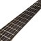 Furch Guitars GNc 2-SW - GNc Sitka Spruce/Black Walnut