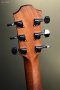 Furch Guitars Orchestra Model Sitka Spruce/Black Walnut, Blue