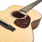 Furch Guitars Vintage Pure OM-SM - Orchestra model Spruce/African Mahogany