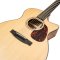 Furch Guitars  Vintage Pure SM - Orchestra Model (Cutaway) Spruce/African Mahogany