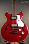 Harmony Standard Comet Electric Guitar w/Case, RW FB, Trans Red