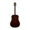 Harmony Foundation Series Terra FS Dreadnought Acoustic Guitar, Natural Gloss