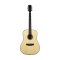 Harmony Foundation Series Terra FS Dreadnought Acoustic Guitar, Natural Gloss