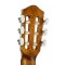 Harmony Foundation Series Terra Classical Guitar, Natural Satin