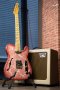 Iconic Tamarack VM Pink Paisley