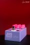 JHS THE VIOLET (PURPLE)