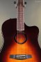 LR Baggs AEG-1  Acoustic Electric Guitar - Sunburst, Sitka Spruce Top