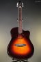 LR Baggs AEG-1  Acoustic Electric Guitar - Sunburst, Sitka Spruce Top