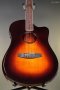 LR Baggs AEG-1  Acoustic Electric Guitar - Sunburst, Sitka Spruce Top