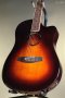 LR Baggs AEG-1  Acoustic Electric Guitar - Sunburst, Sitka Spruce Top