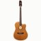 LR Baggs AEG-1 Acoustic Electric Guitar, Torrefied Sitka Spruce