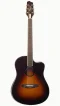 LR Baggs AEG-1  Acoustic Electric Guitar - Sunburst, Sitka Spruce Top