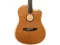 LR Baggs AEG-1 Acoustic Electric Guitar, Torrefied Sitka Spruce