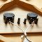 L.R. BAGGS HiFi System with Volume and Tone Control