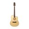 LR Baggs AEG-1 Acoustic Electric Guitar, Natural Engelmann Spruce Top