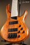 MTD Kingston Z5 - Figured Maple Top, Mahogany Body, Maple Fretboard - Satin Amber Finish