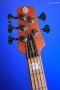 Spector Euro 5 RST - Sienna Stain Matte