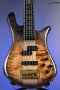 Spector Euro 5 CST - Natural Black Burst Gloss