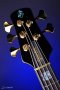 Spector Euro 5 CST - Natural Black Burst Gloss